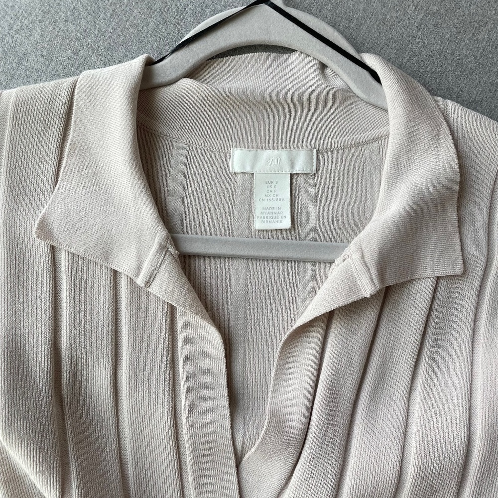 Zara dress